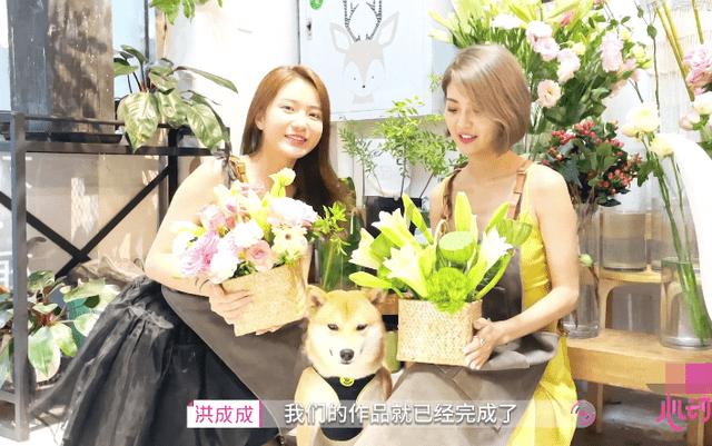 了解有没有小姐妹可以安利一些小个子女生的平价穿搭店铺 ?,打造知识星球的乐园